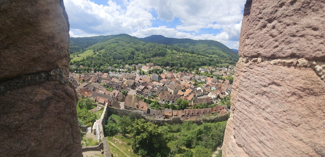 V14/6/24: Ribeauvillé/Bœrsch