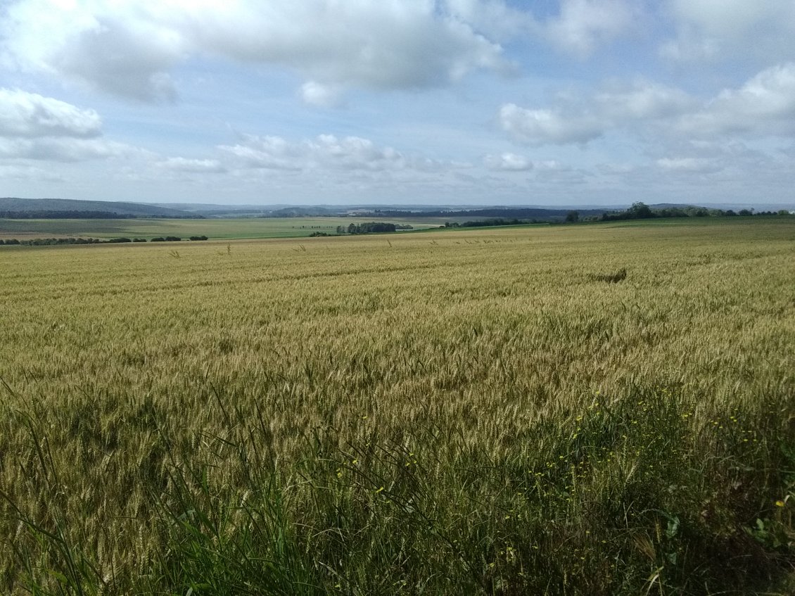 Que la nature est belle!