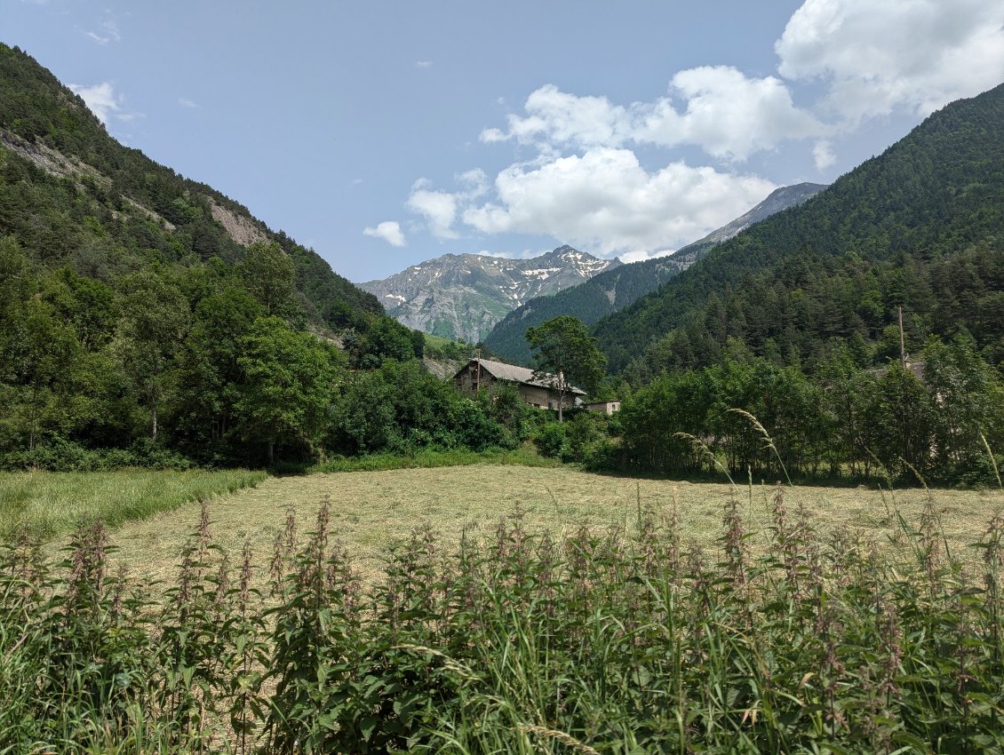 Les Orties et L'Arcanier (me semble-t-il)