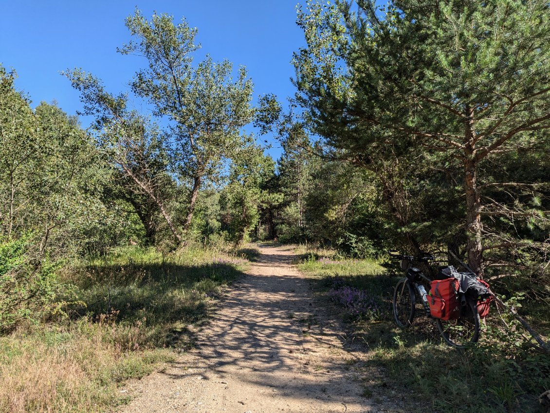 Petit chemin en bord de Durance, à proximité du bivouac