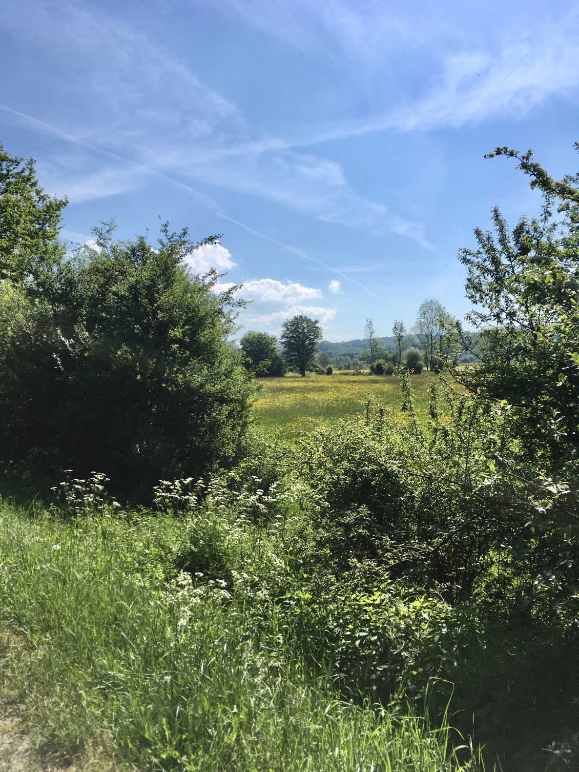 J3 : Etréaupont - Fourmies