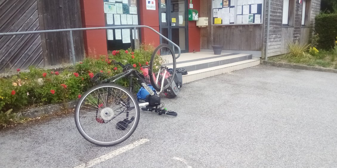 A poil et sur le dos le Korto !