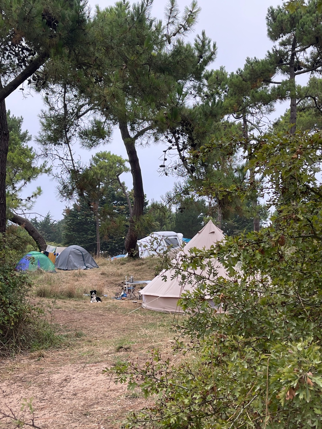 Camping dans la dune