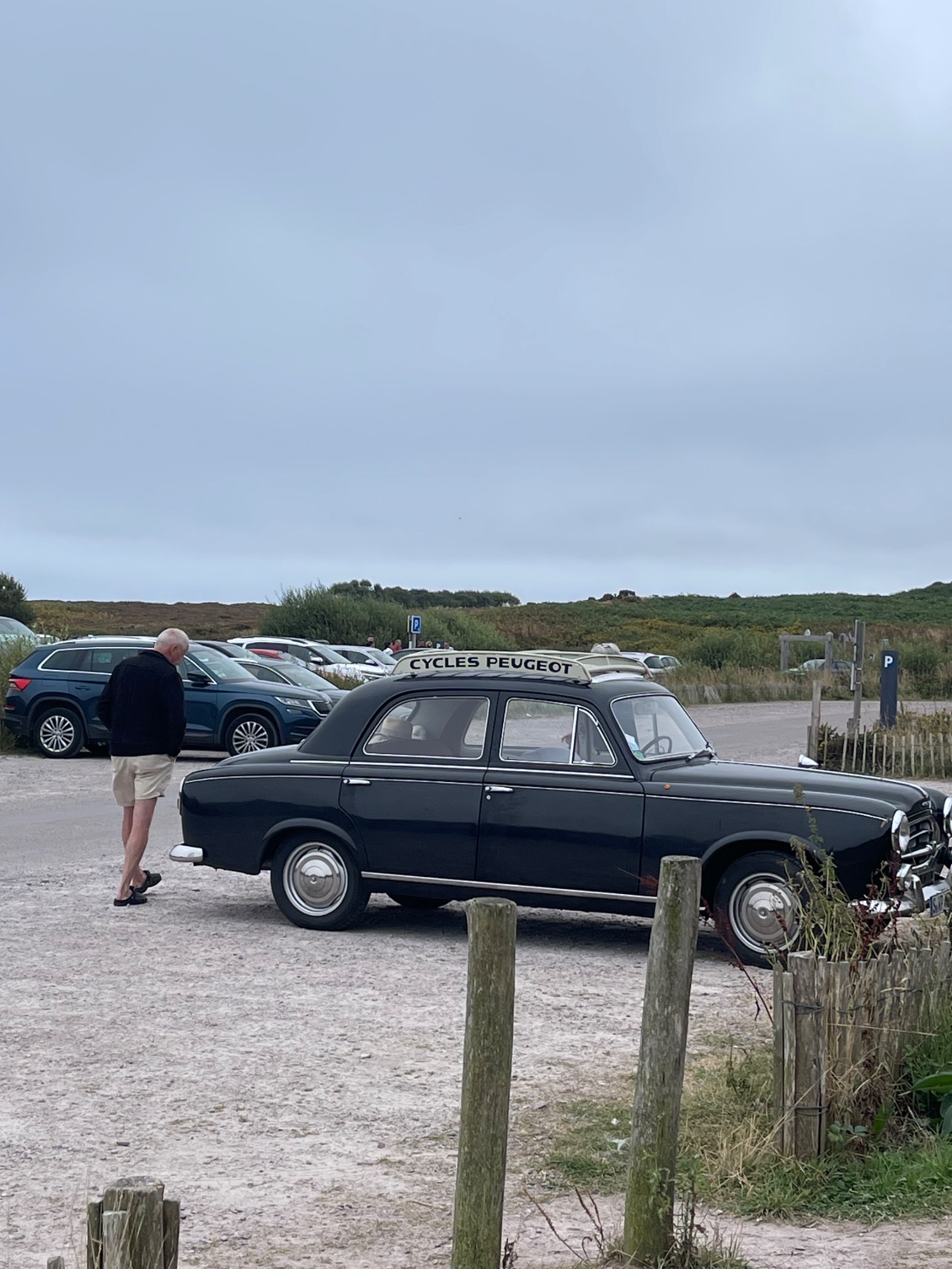 Des Allemands et une 403 de 1966