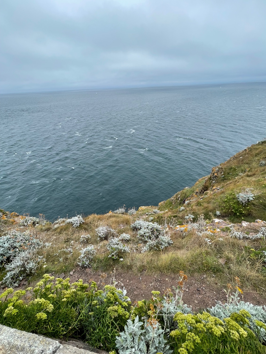 CAP Fréhel