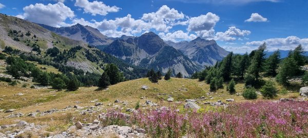 Col de la Cayolle, très belle ascension cyclosportive