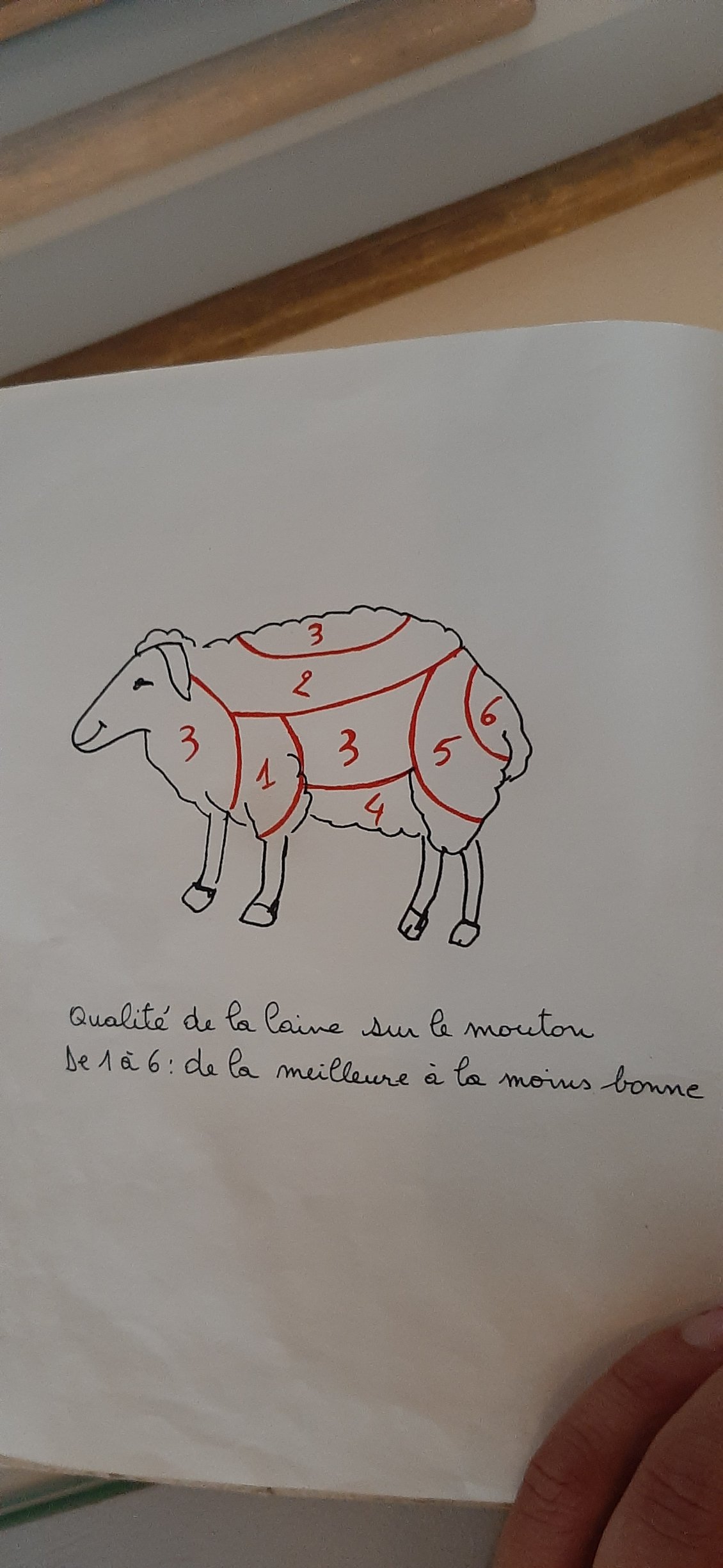 cité internationale de la tapisserie