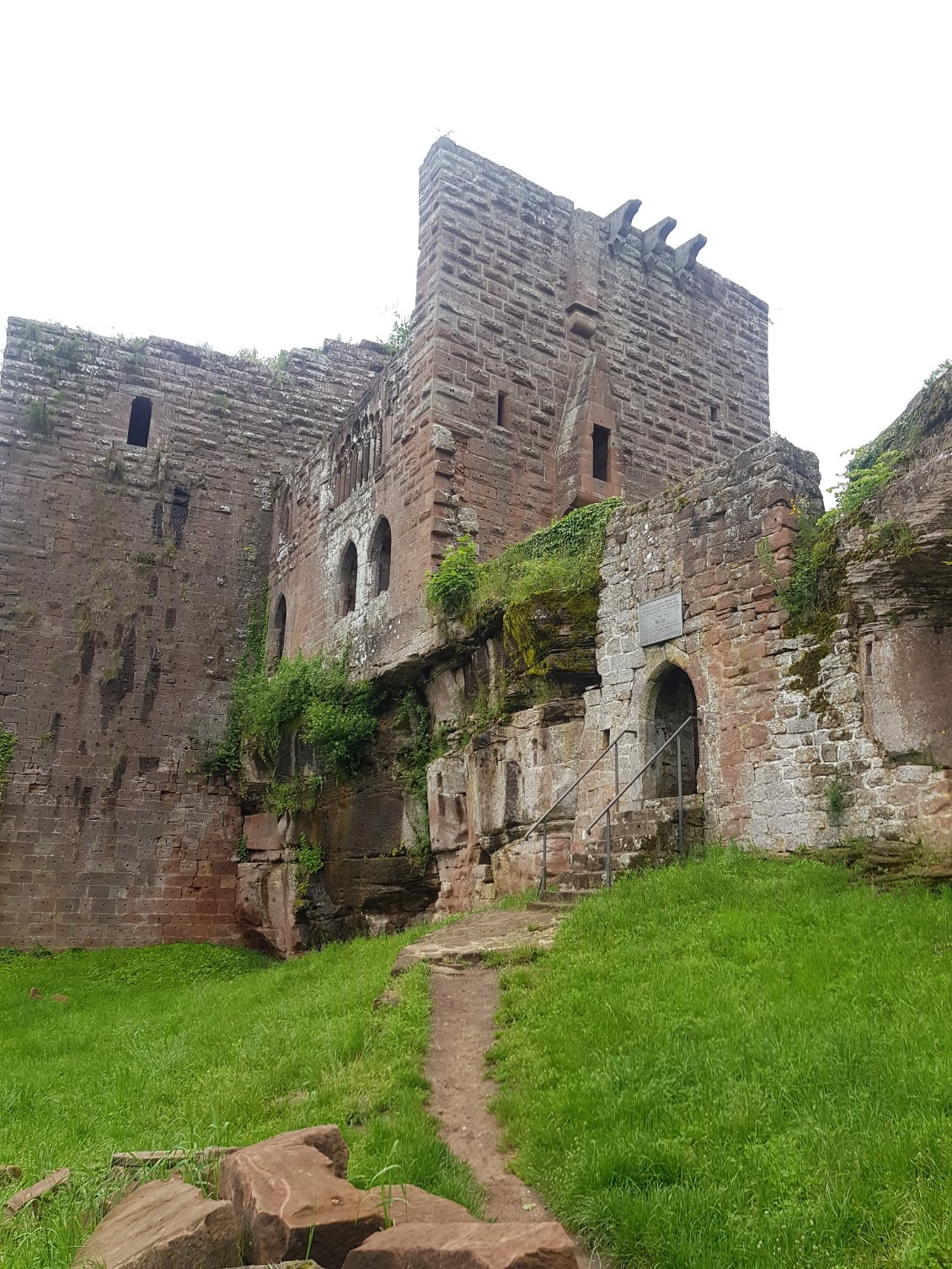Les ruines du château de Wasenbourg. Il faut être patient pour attendre que personne ne soit dans le champ !