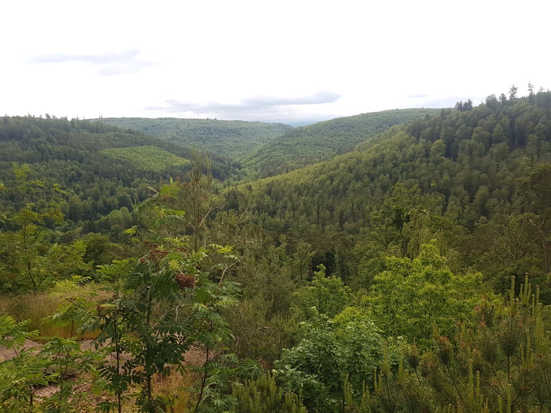 Vue depuis le Rocher de Corbeau