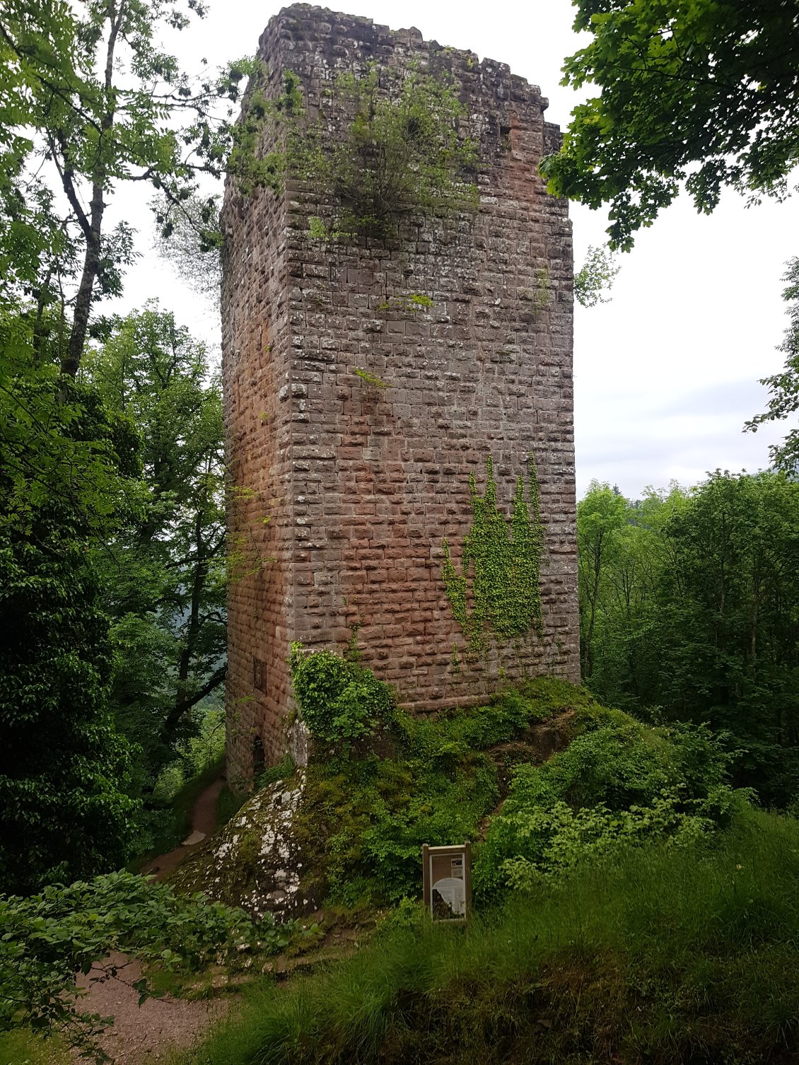 Les ruines du château du Nideck...