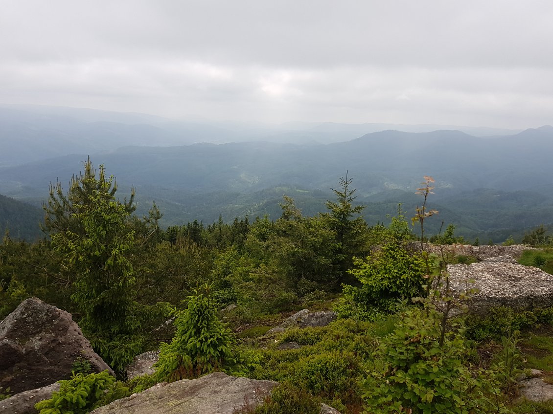 Vue sur la ligne de crêtes de Vosges depuis le Rocher du Mutzig à 1009m.