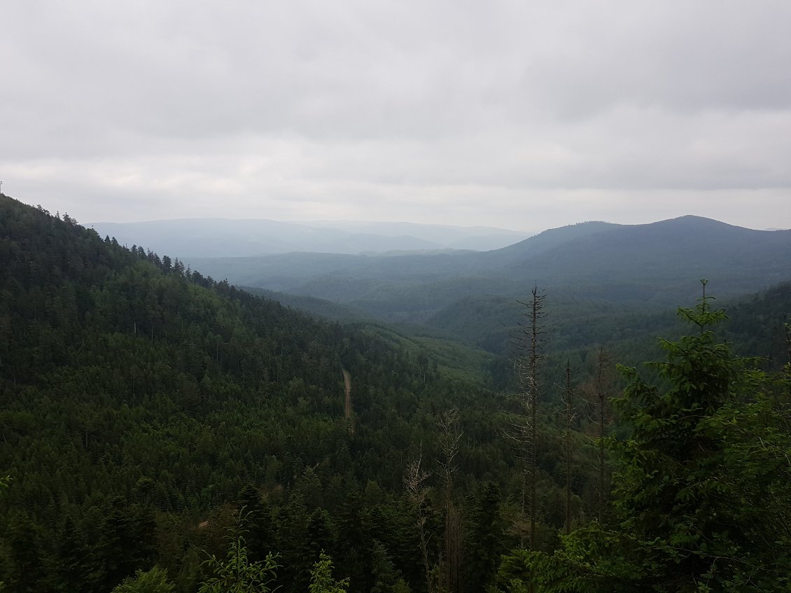Une bien belle région, tout de même.