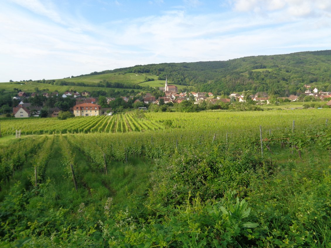 Andlau sous le soleil matinal.