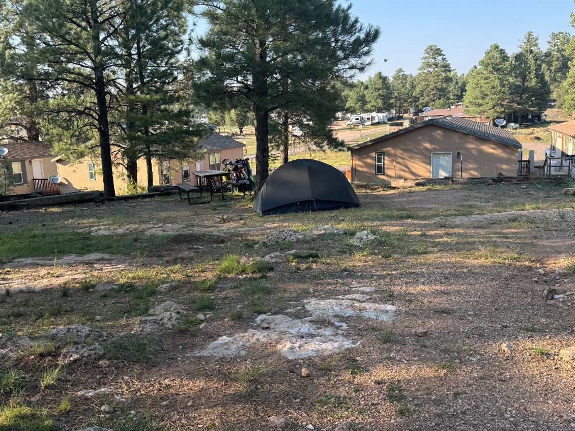Camping et gratuit en plus demain je visite Canyon Village