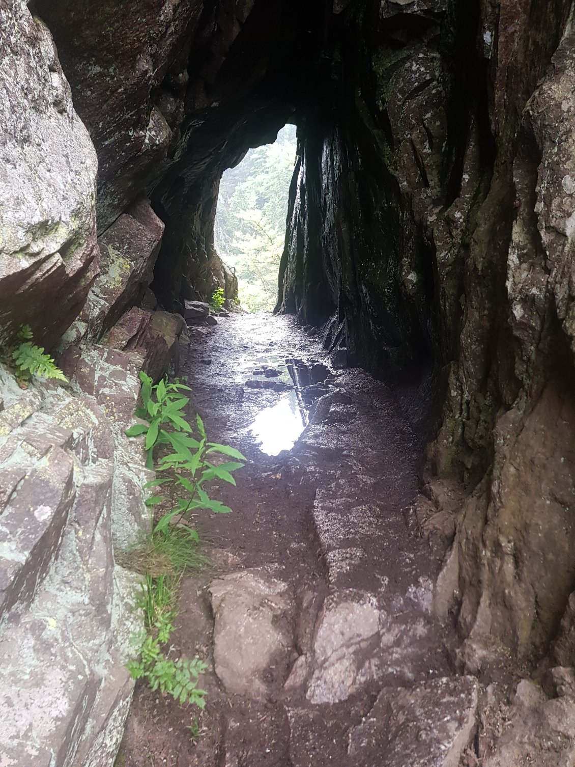 Seul endroit du Sentier des Roches où je peux m'abriter de la pluie.