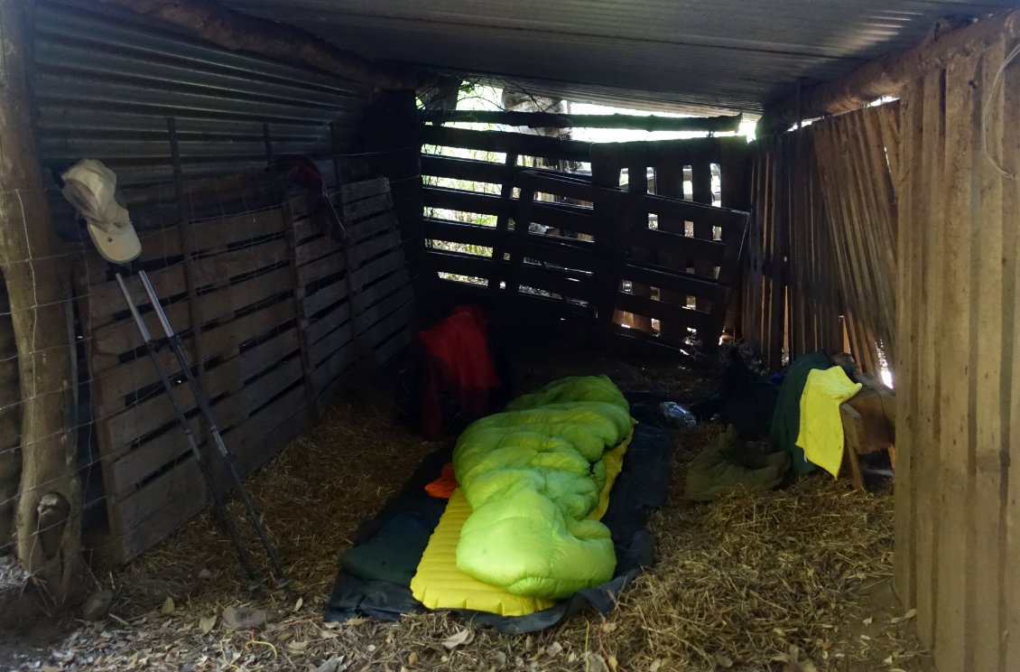Pour les nuits en forêts : s’abriter des cochons en semi-liberté !