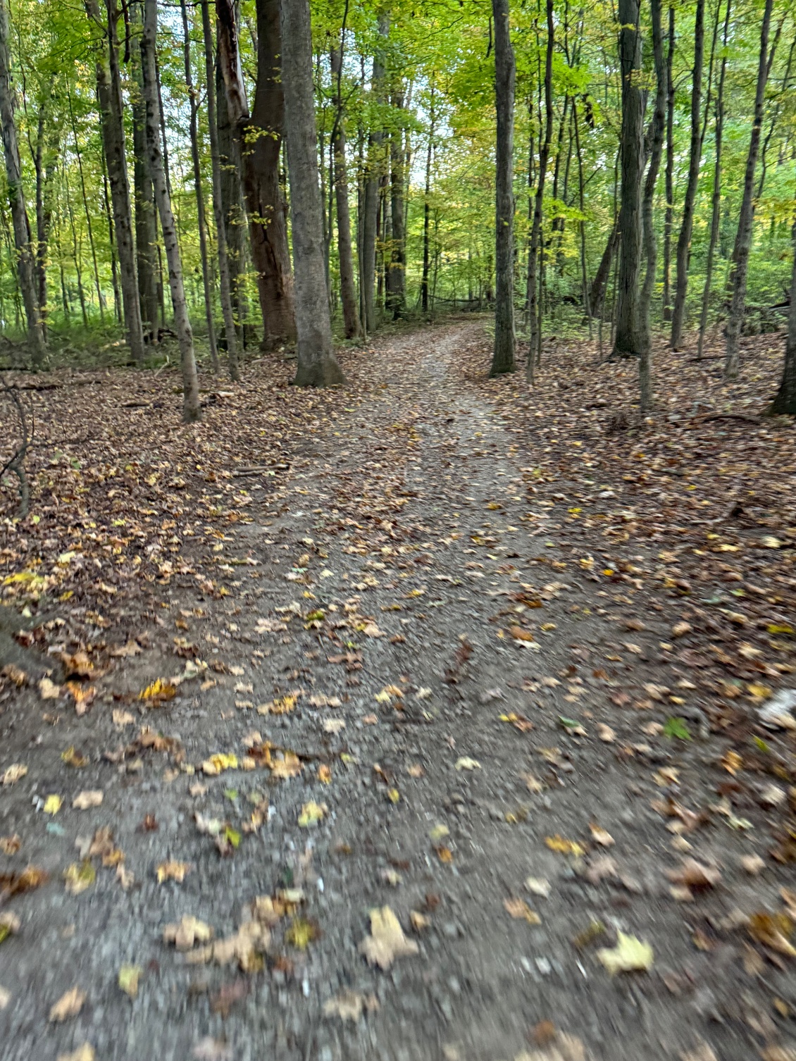 Aujourd’hui c’est Gravel