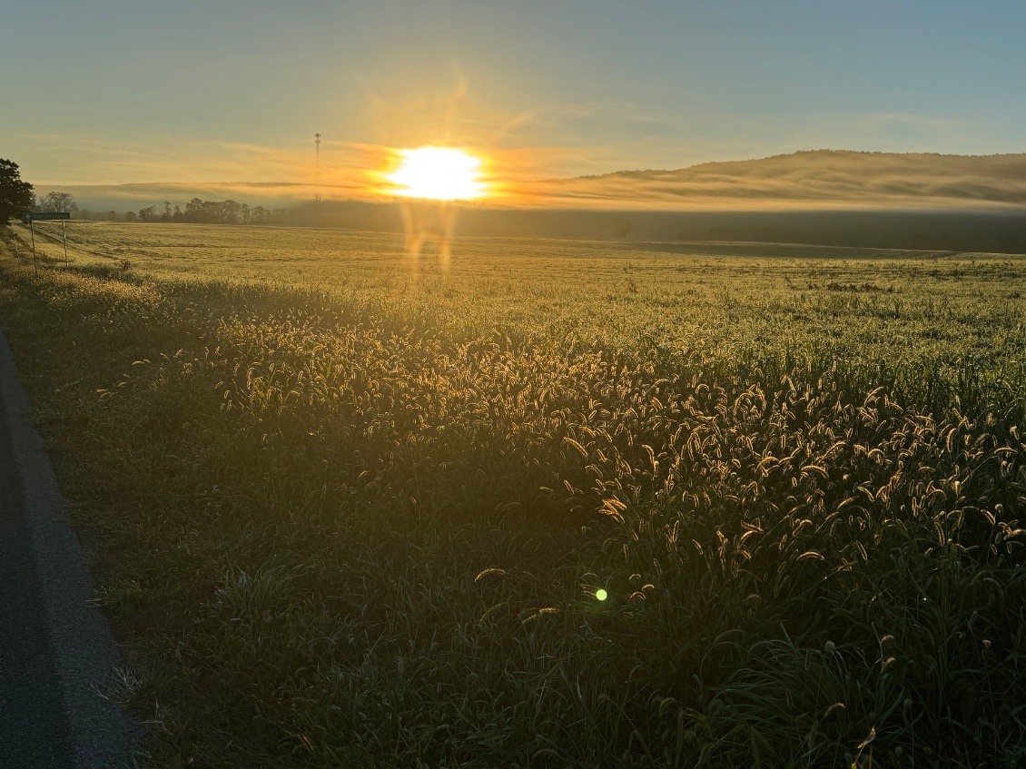 8° ce matin, mais avec un grand soleil
