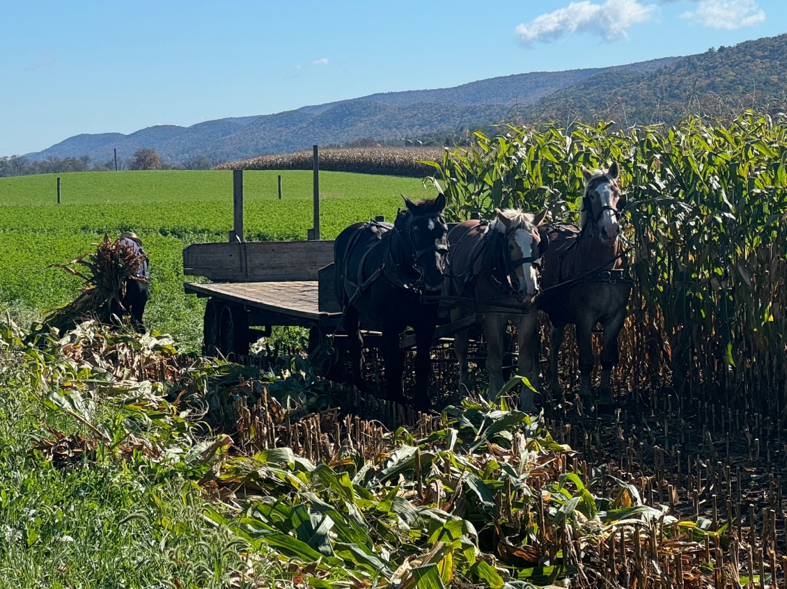 Passage dans la région des Amishs