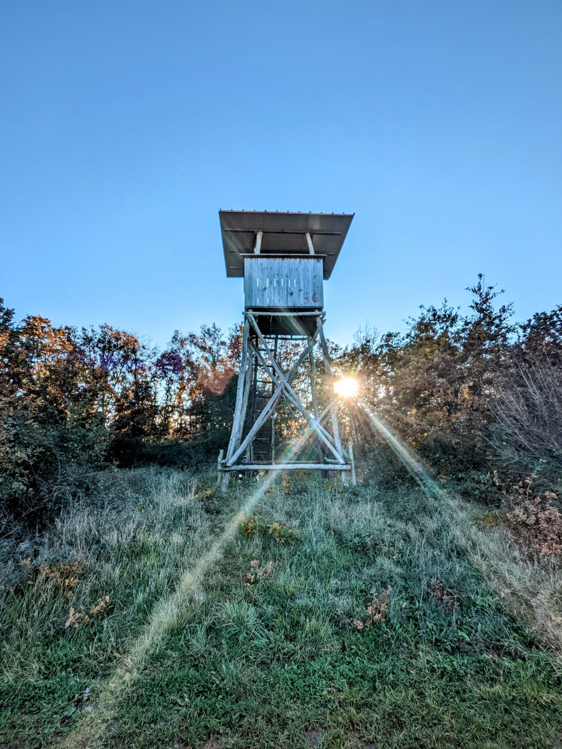 Mirador