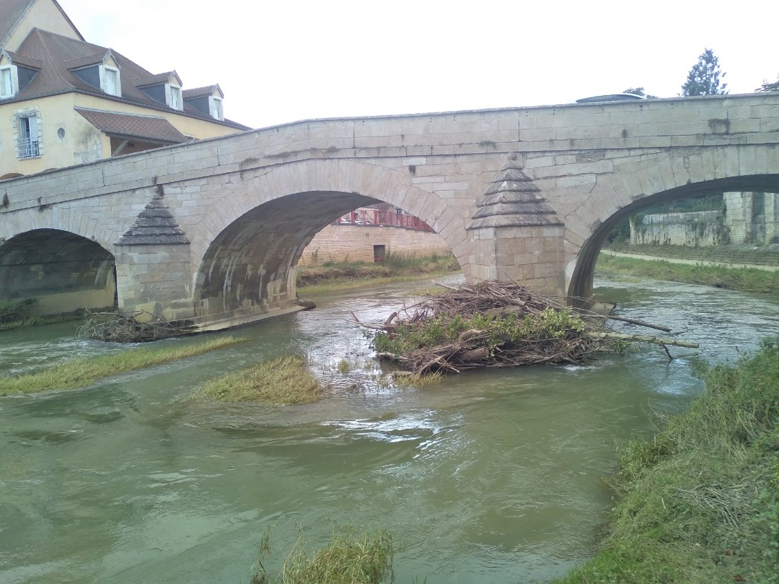 La Brenne à Montbard