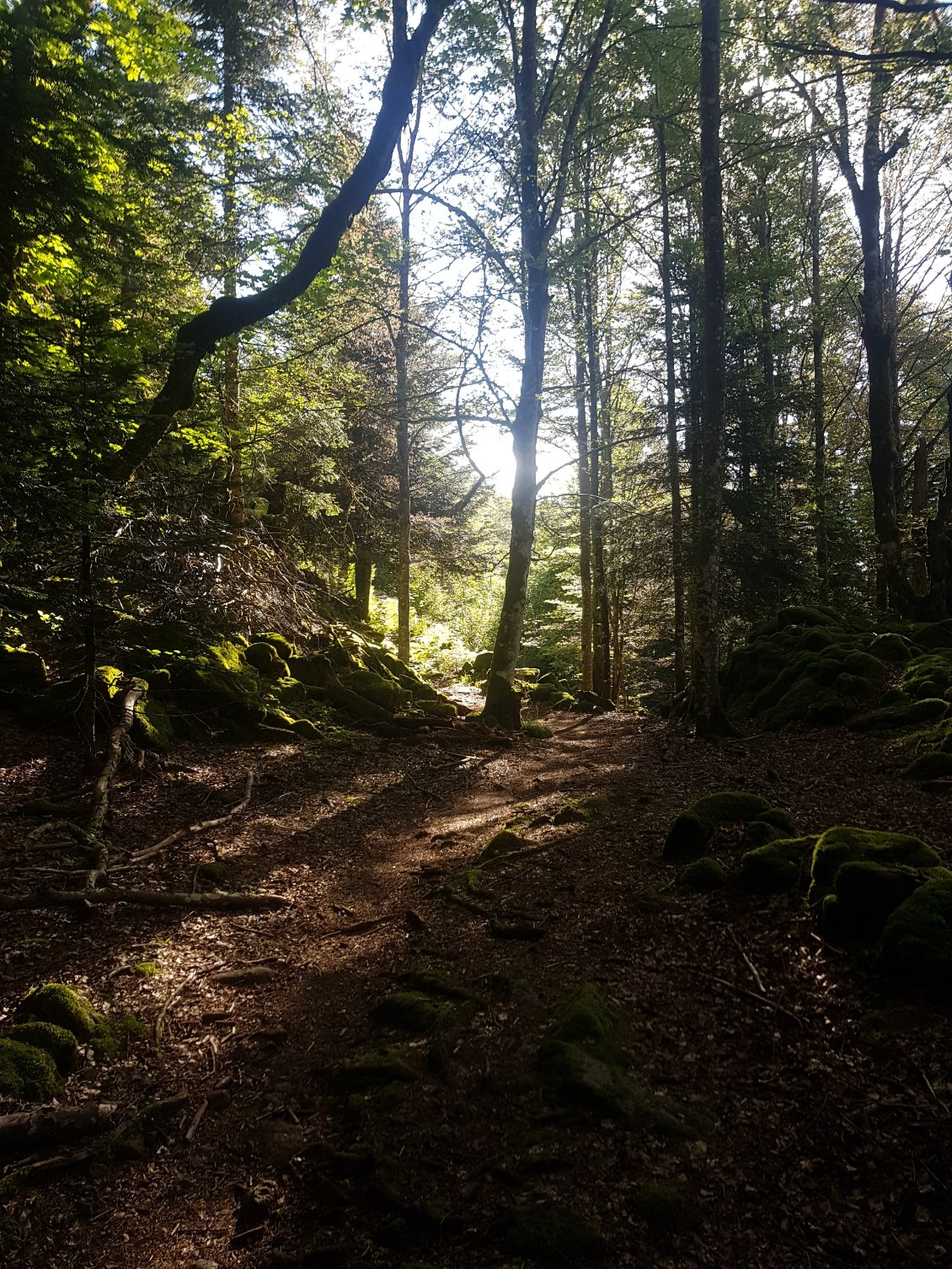 Le soleil éclaire le chemin à suivre.