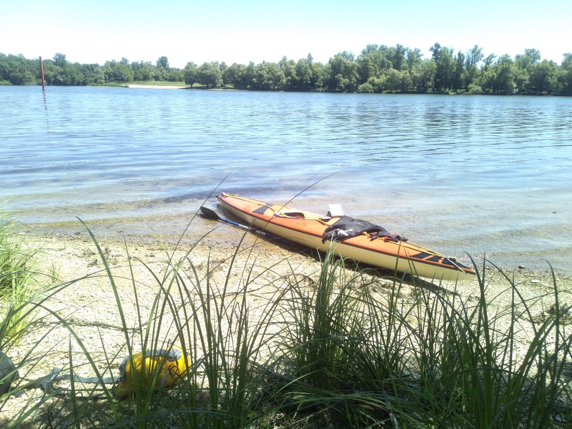 Petite plage de coquillages