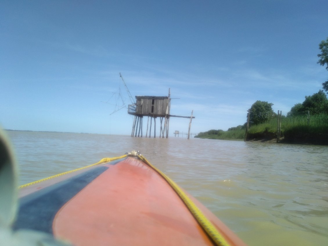 Pêcheries de Gironde