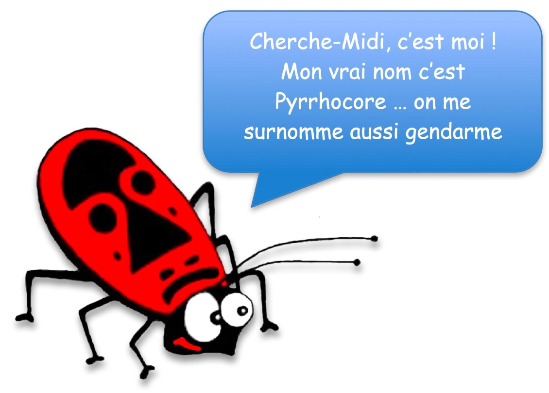 Pourquoi le nom du bateau ?