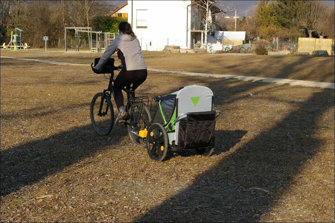 Remorque vélo enfant Bellelli Trail Tots
