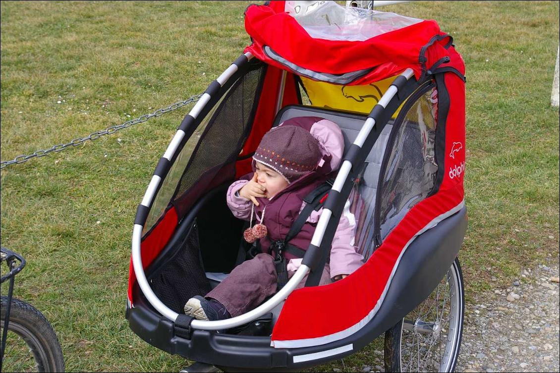 Remorque enfant Winther Dolphin new edition