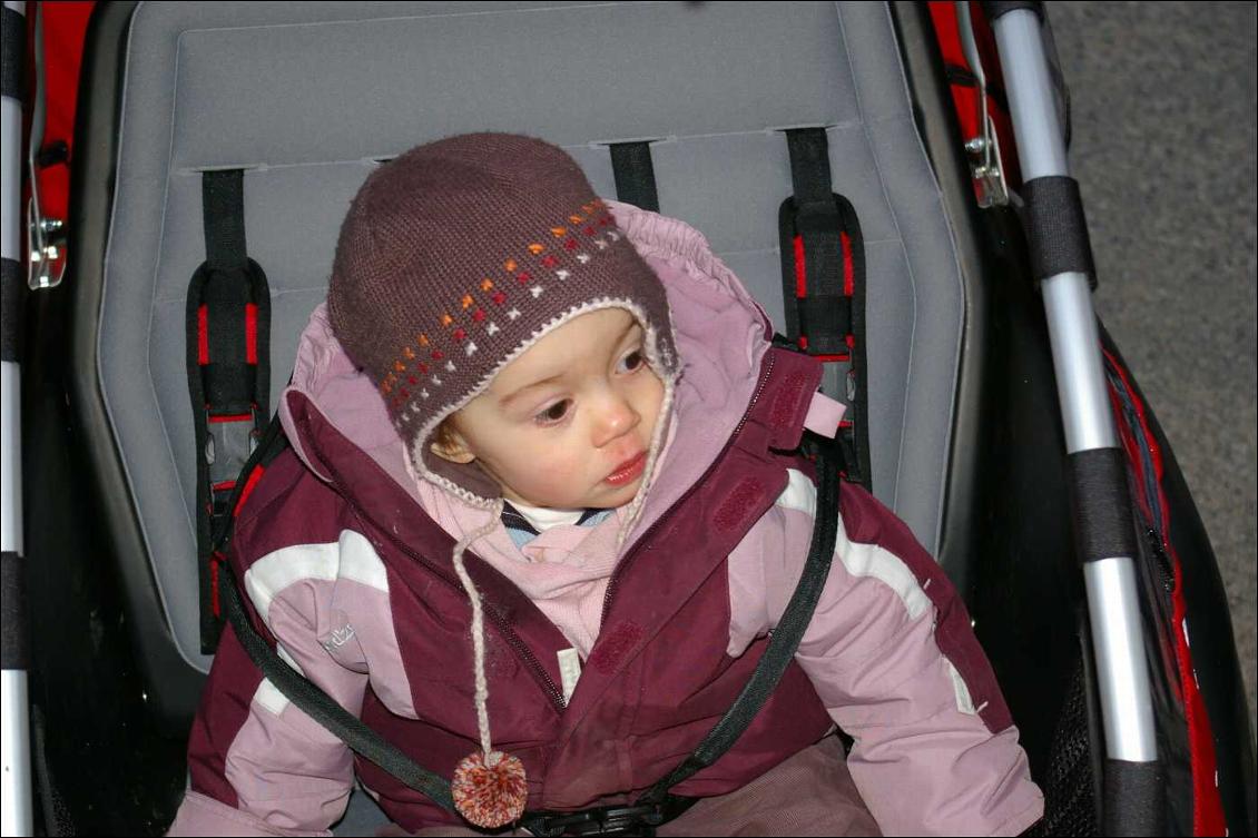 Remorque enfant Winther Dolphin new edition