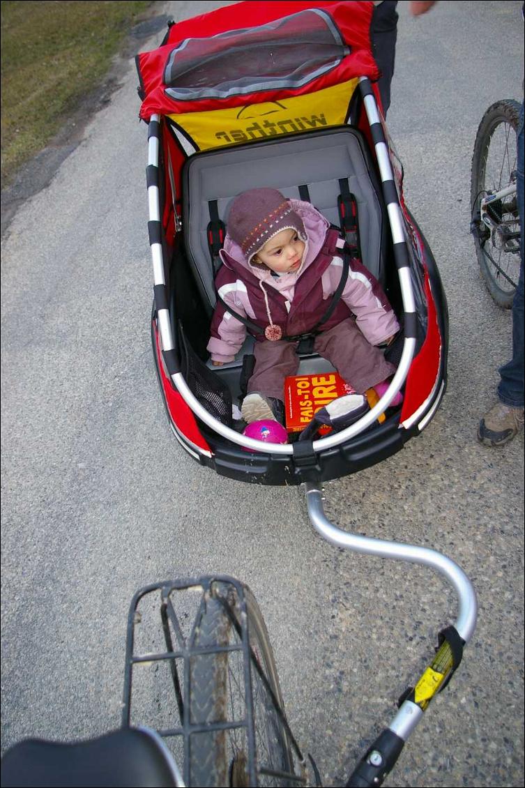 Remorque enfant Winther Dolphin new edition
