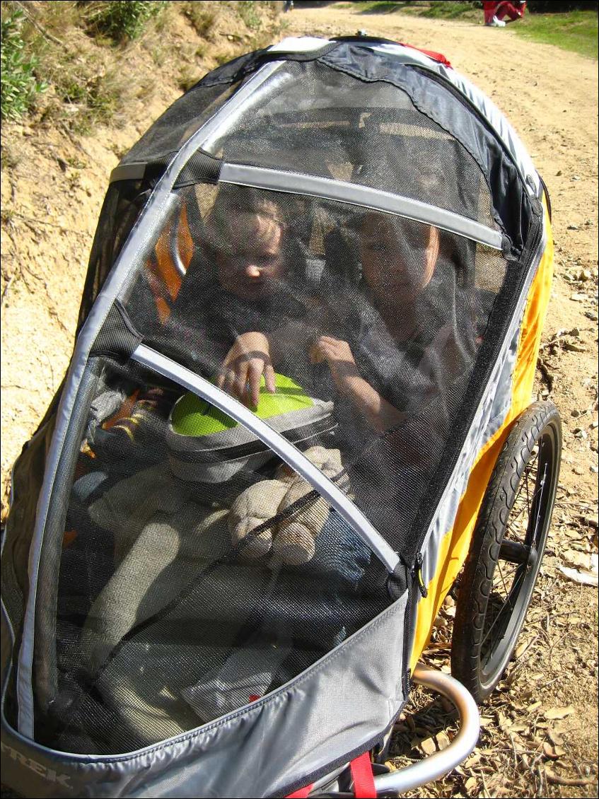 Remorque enfant Trek Gobug Sport, moustiquaire en place