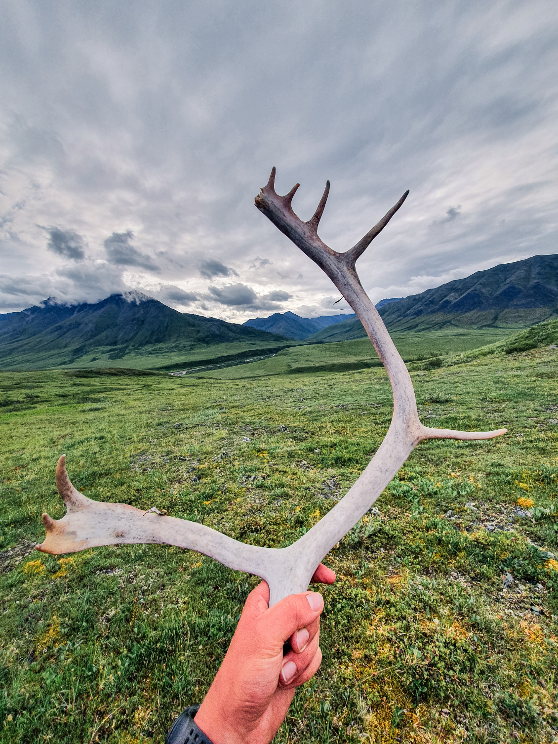 Trek en Alaska