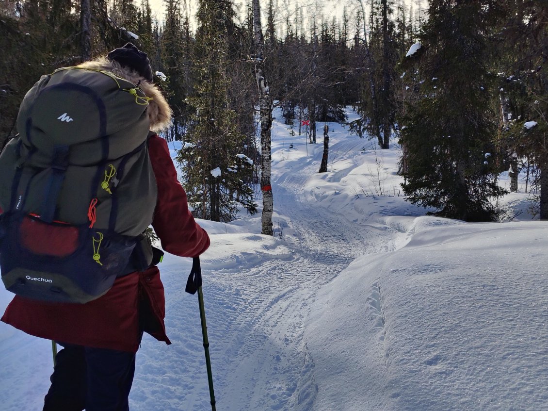 J4. Nous suivons la Kungsleden, balisée par des croix rouges.