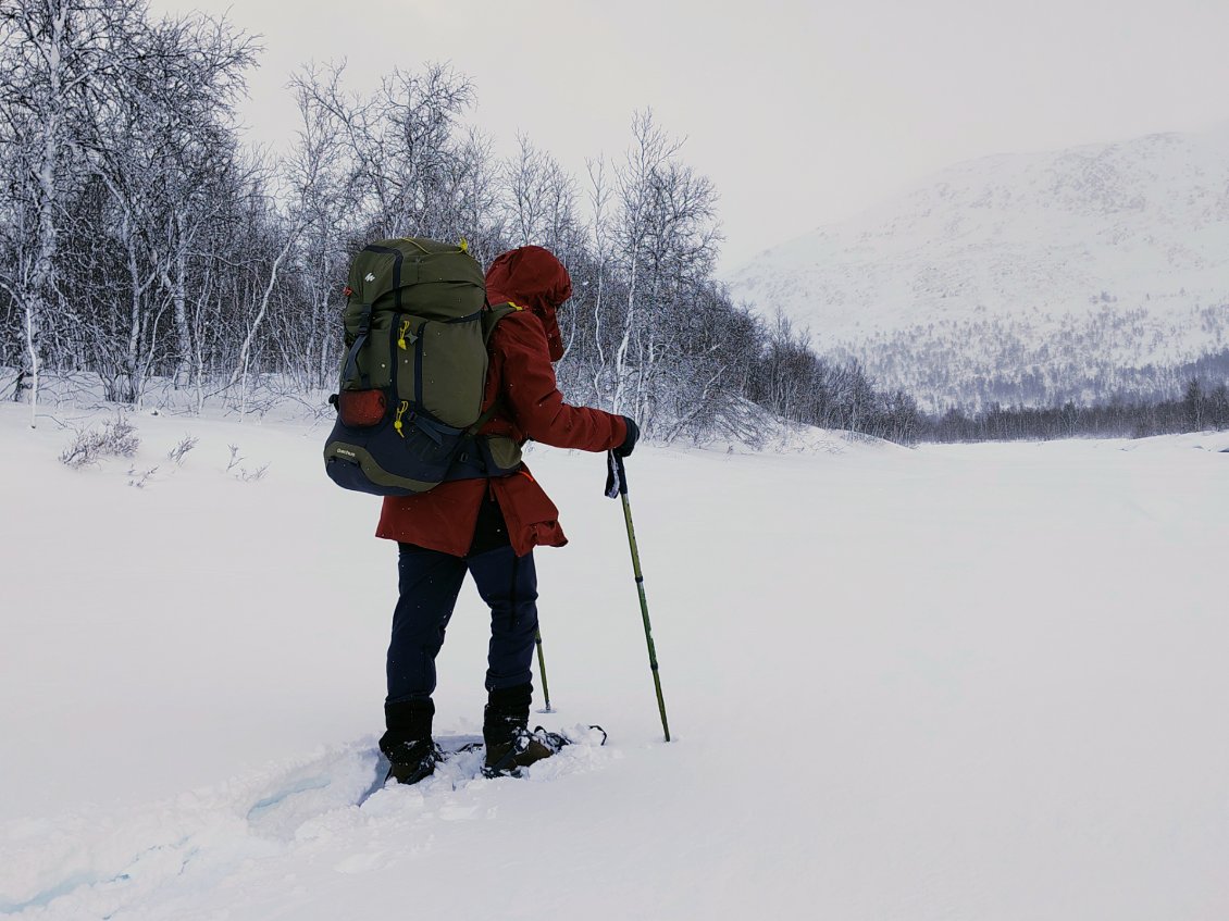 J10. La rivière que nous avons empruntée à l'aller a un aspect différent : luminosité, neige, vent, ...