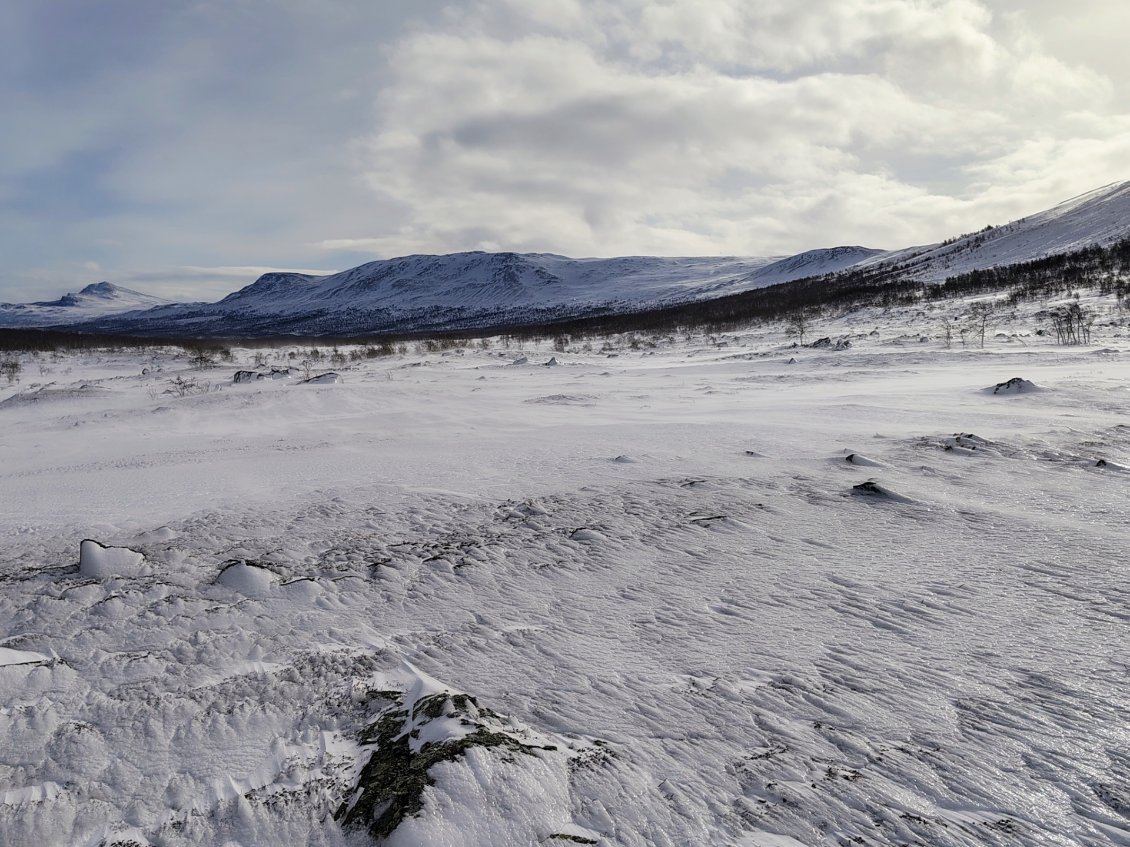 J10. L'immensité blanche est différente qu'à l'aller. Le vent a sculpté la neige.