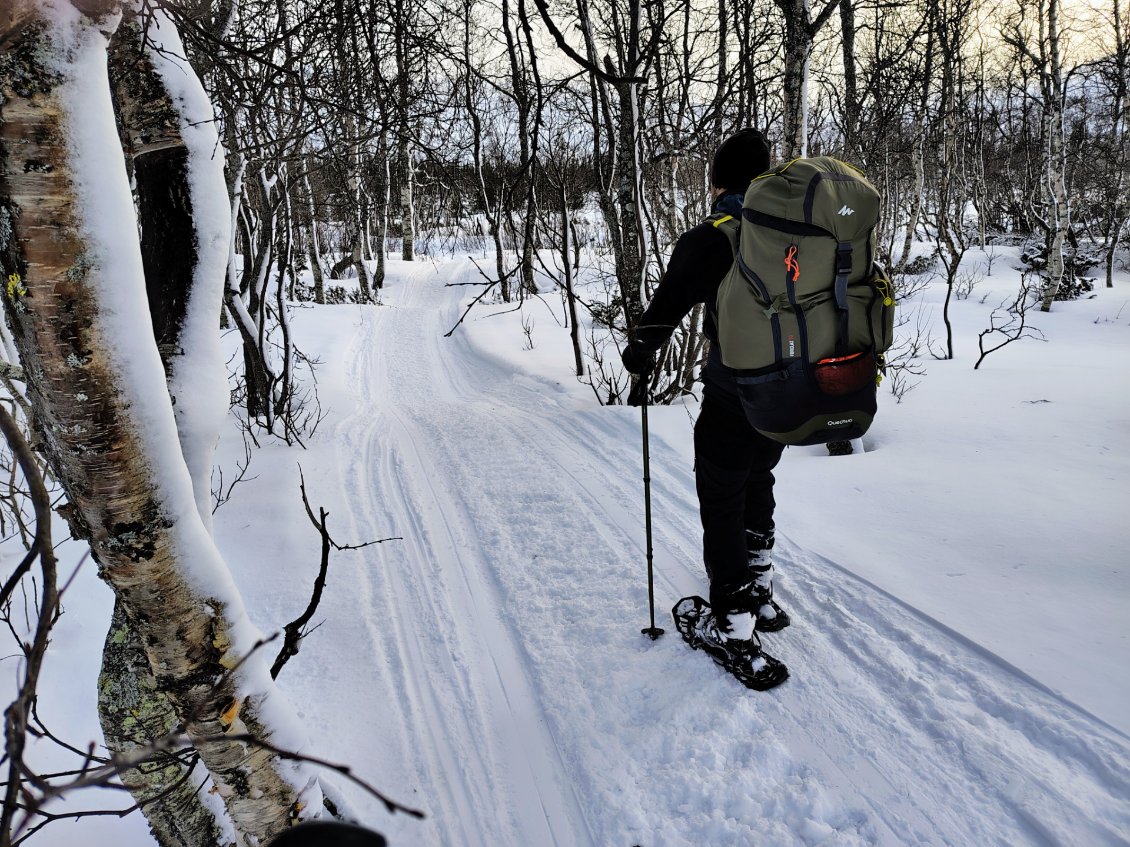 J10. Les passages en sous-bois sont à l'abris du vent. L'ambiance est silencieuse avec pour seul bruit le craquement de la neige sous nos pas.