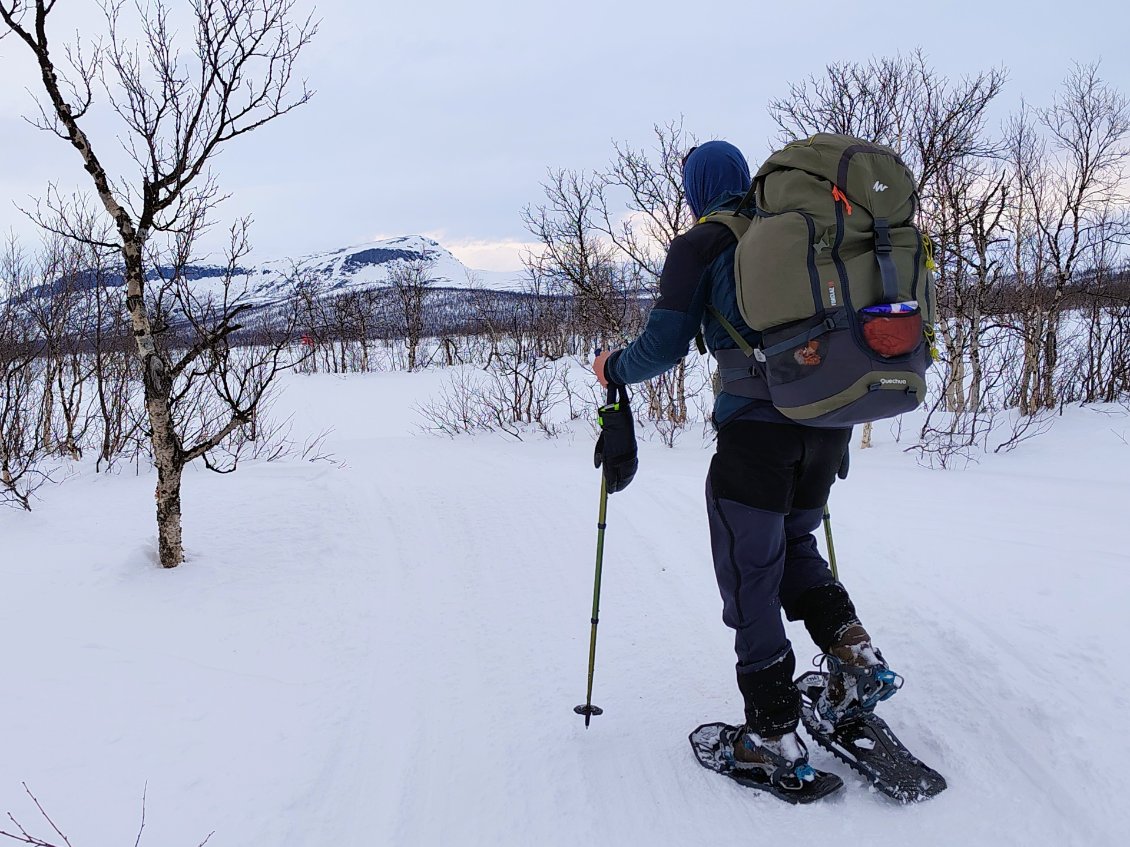 J15. Le refuge de Sitojaure est au pied de la montagne devant nous. Nous serons à l'abri pour la tempête annoncée cette nuit.