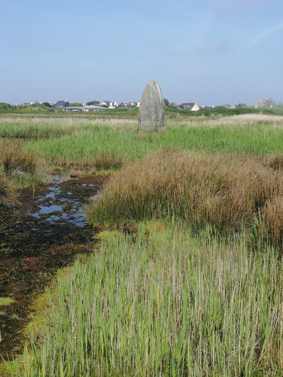 Menhir de Lehan de 4m de haut