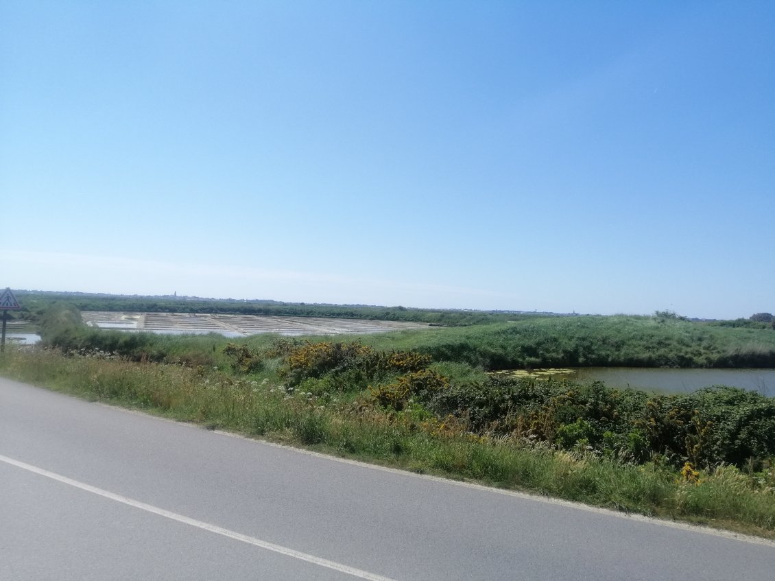 Marais salant de Guérande
