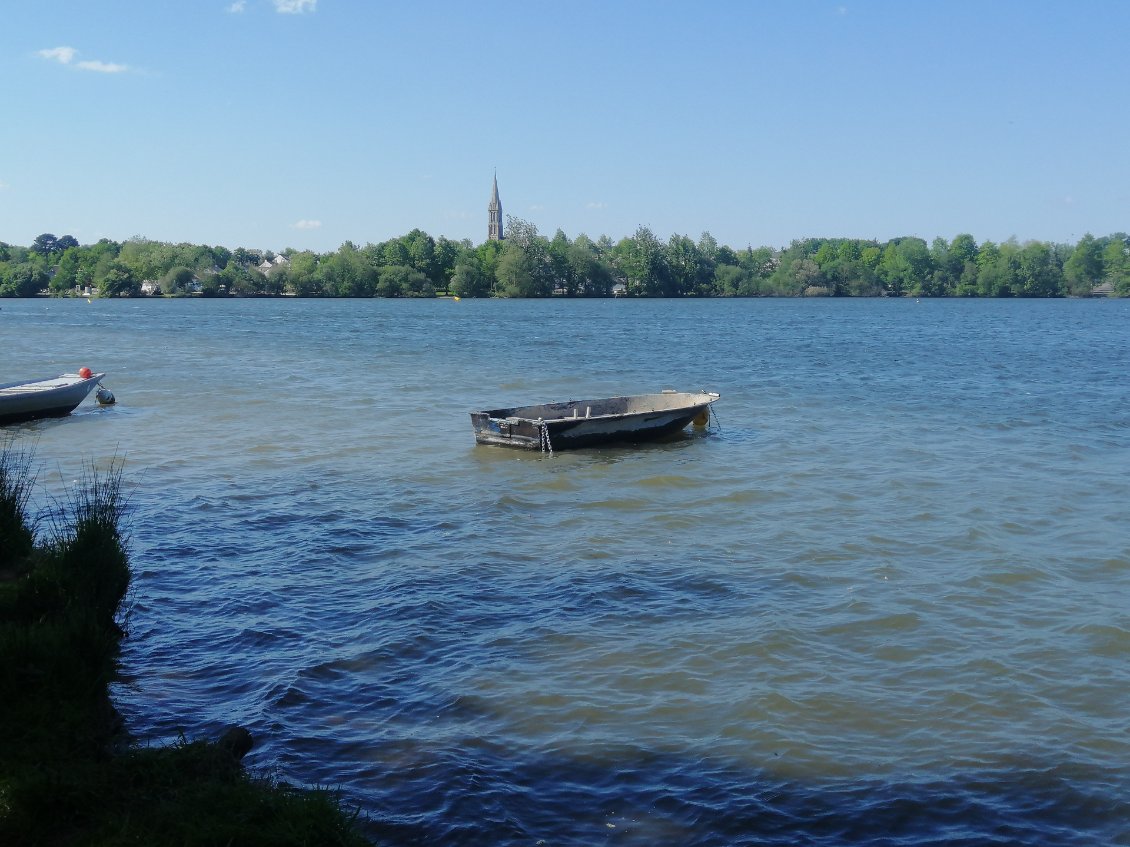 Etang du bois Joalland un peu mouvementé avec le vent