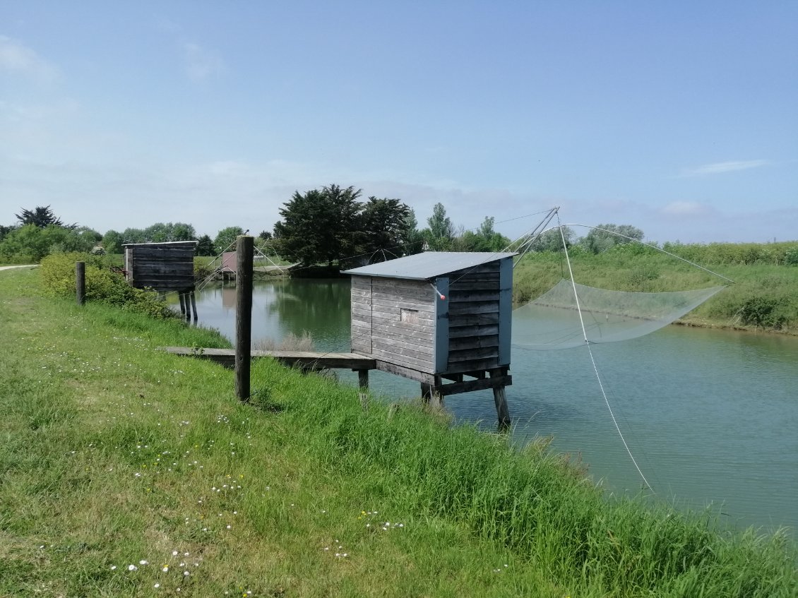 La pêche au carrelet