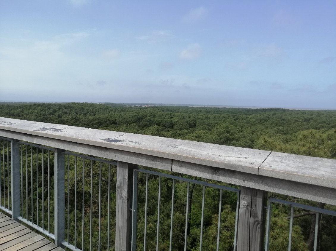 Re vue 360°