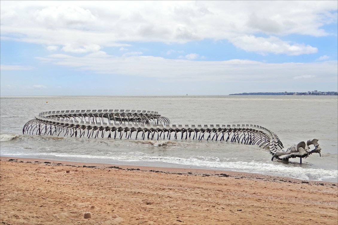 Le serpent de l'océan à St Brevin