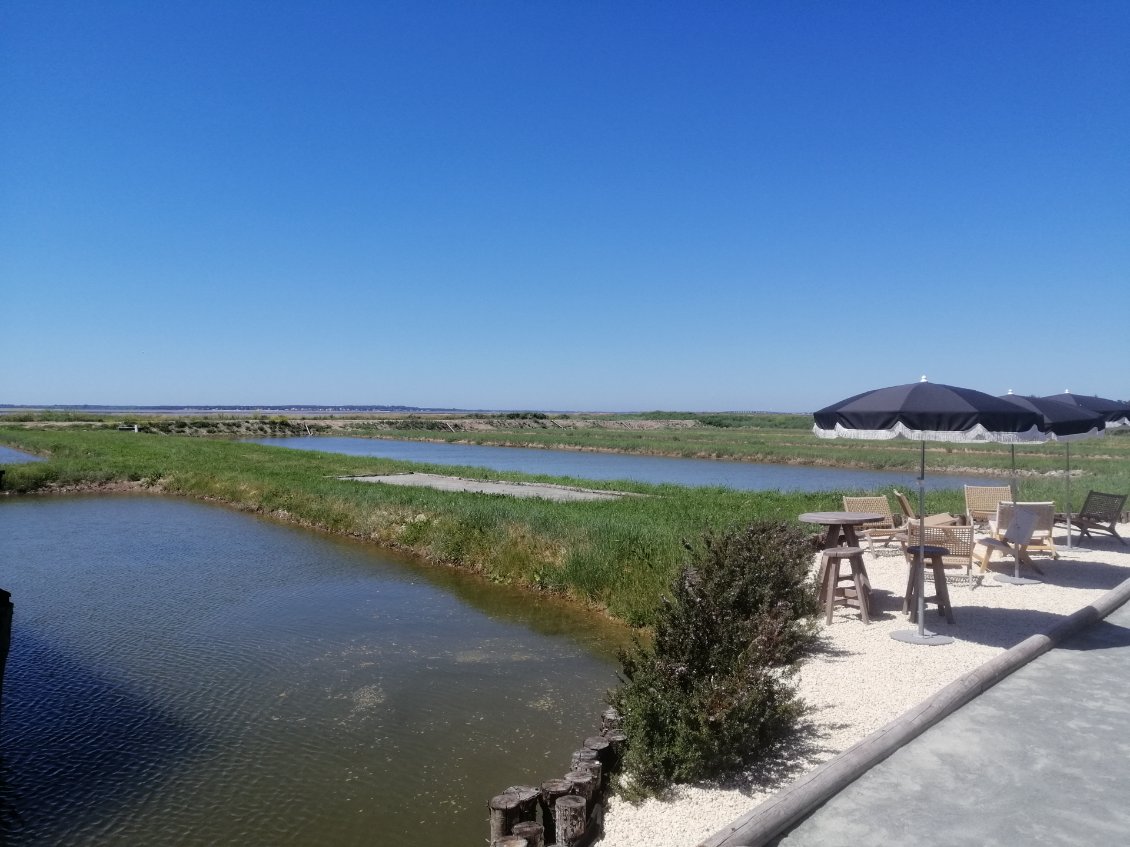 Au loin l'île d'Oléron, vue depuis la terrasse de chez Robbie