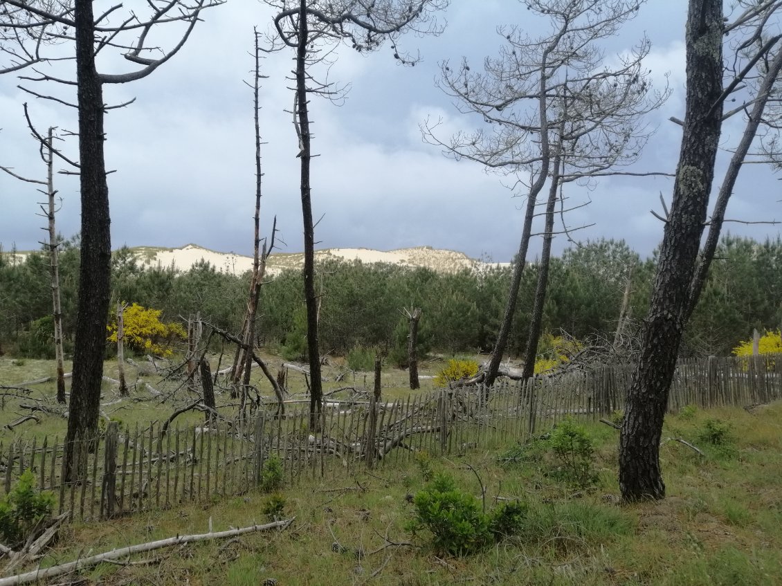 Montagnes de sable