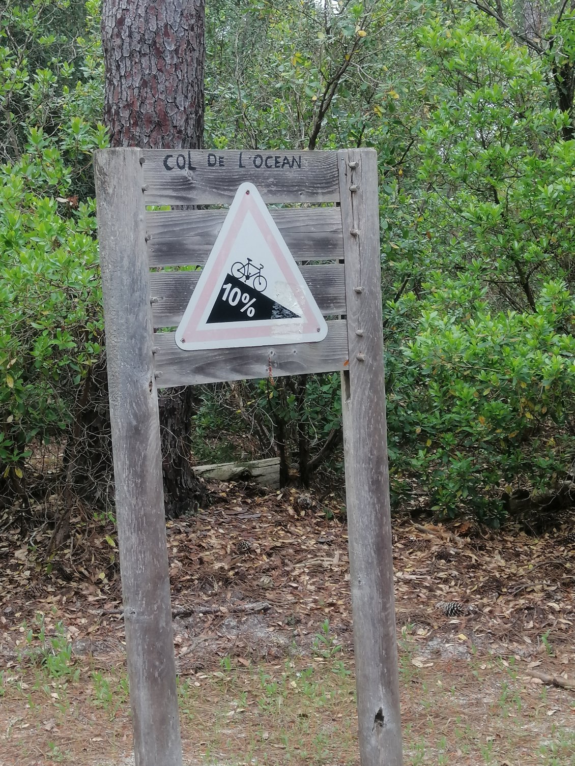 ça monte et ça descend entre les dunes