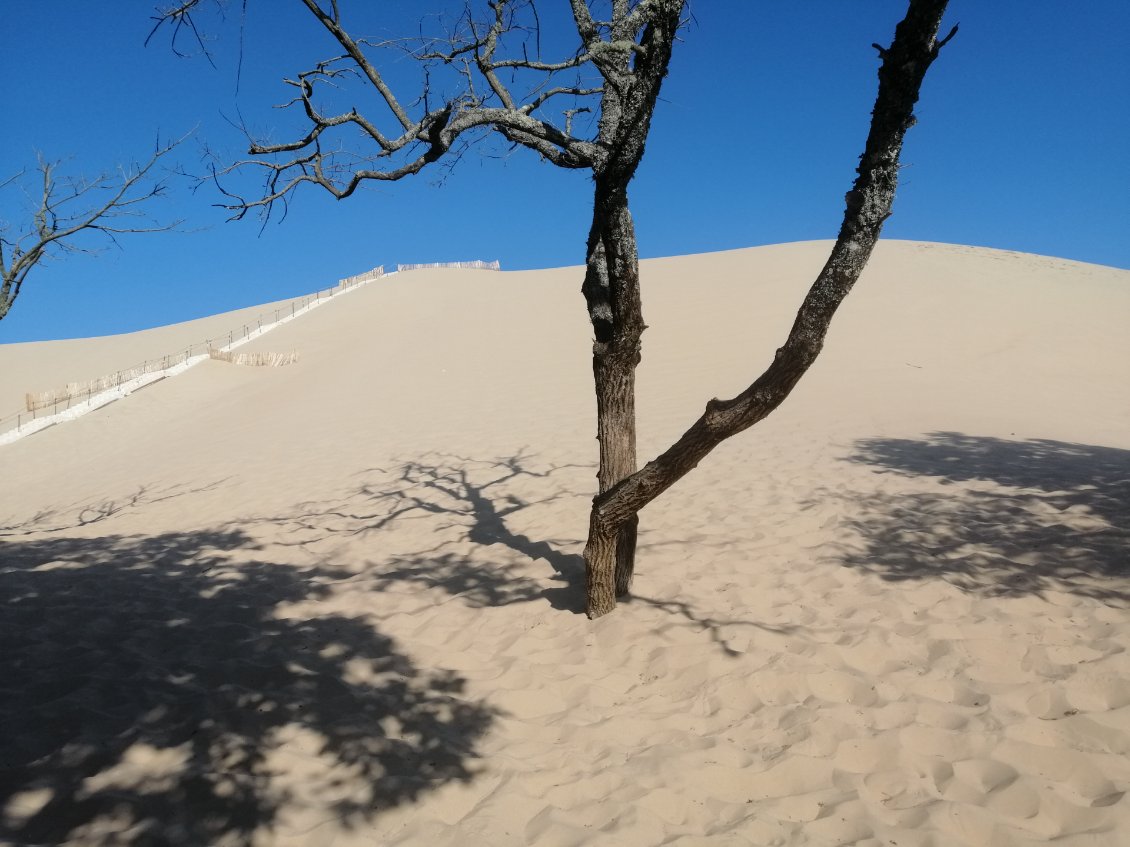 Dune du Pilat